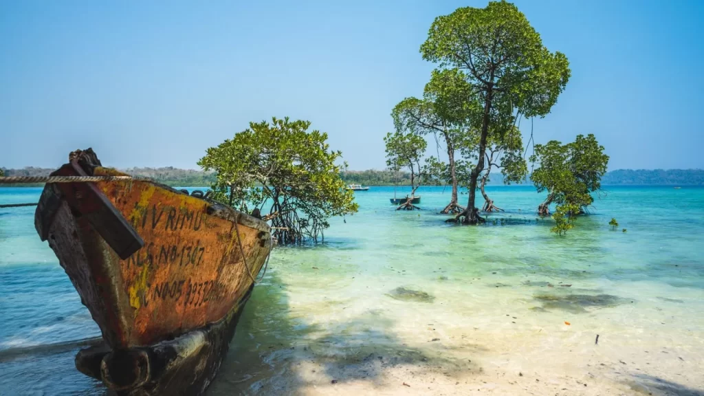 What are some of the popular road routes that tourists can take to explore the Andaman Islands?