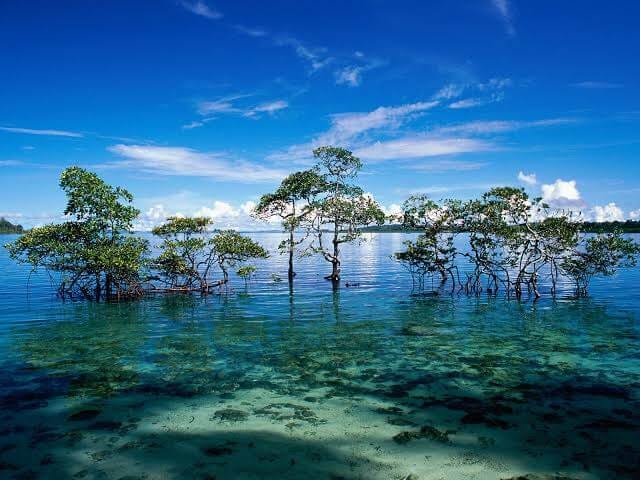 “Top 10 Must-Visit Places in Andaman for an Unforgettable Experience”